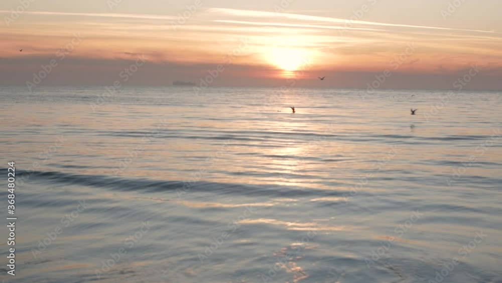 Beautiful sunrise on the sea with flying birds Beautiful sunrise on the sea with flying birds