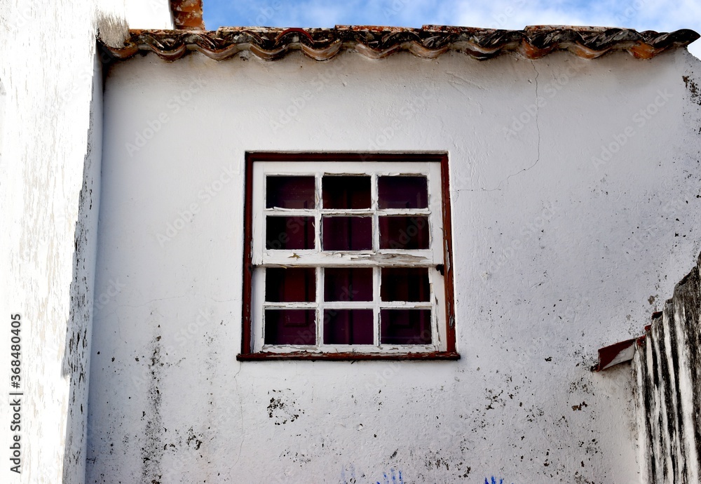 Window traditional 