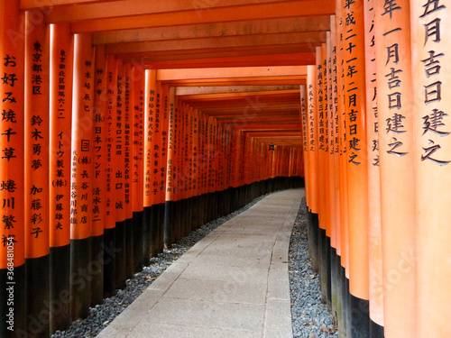 Beautiful wood red gates Fushimi Inari-Taisha (伏 見 稲 荷 大 社), main Shinto shrine (jinja, 神社) dedicated to the spirit of Inari, and located in Fushimi-ku, district of Kyoto (Japan). photo