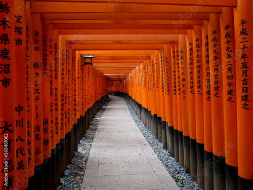 Beautiful wood red gates Fushimi Inari-Taisha (伏 見 稲 荷 大 社), main Shinto shrine (jinja, 神社) dedicated to the spirit of Inari, and located in Fushimi-ku, district of Kyoto (Japan). photo