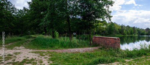 Seedamm Waldweg photo