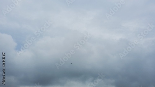 A small bird carrying over clouds on a cloudy day