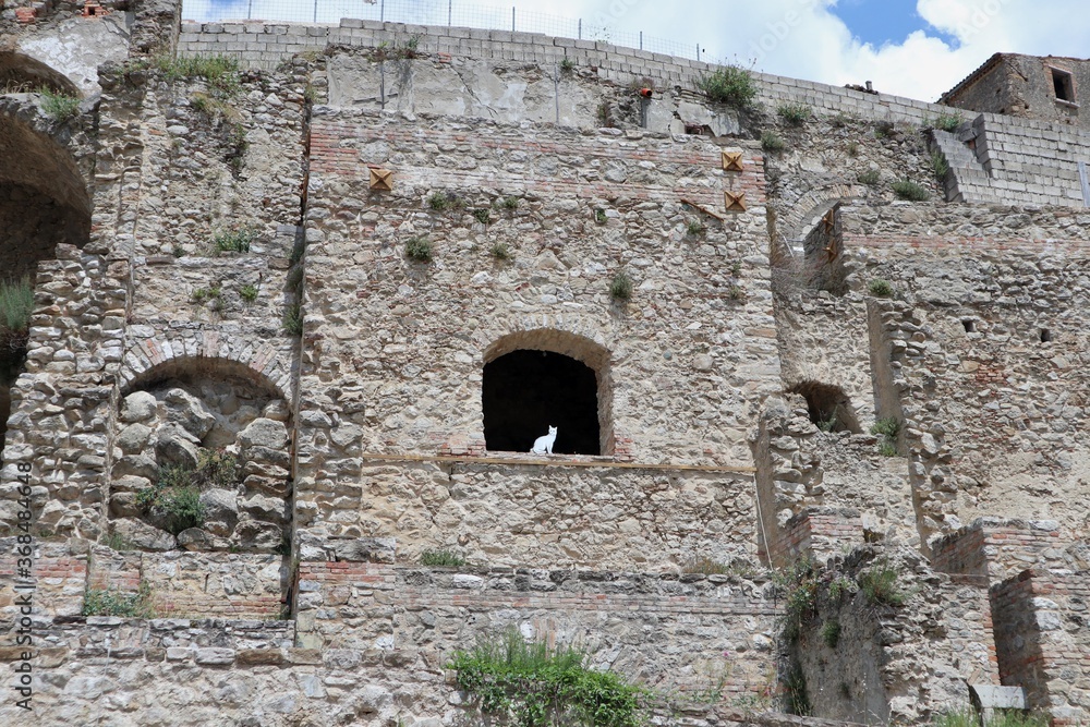 Calitri - Sagoma di gatto nell'antica fortificazione