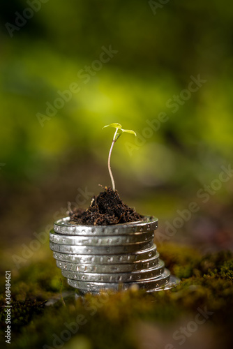 Green Sprout on top of stack of euro coins on moss