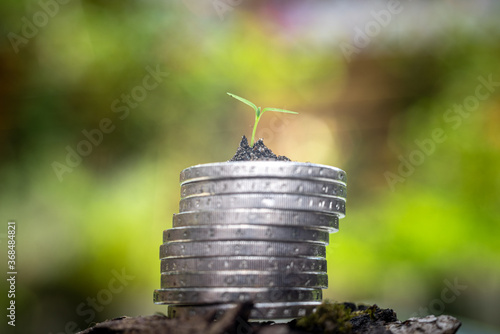 Green Sprout on top of stack of euro coins on moss