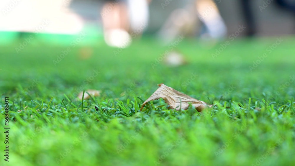 Artificial turf. Macro close-up of a soccer field turf. Fallen dry leaf in the foreground. Autumn is approaching. The movement of people in the background. Summer sunny day. Artificial turf. Macro close-up of a soccer field turf. Fallen dry leaf in the foreground. Autumn is approaching. The movement of people in the background. Summer sunny day.