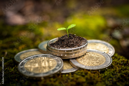 Green Sprout on top of stack of euro coins on moss