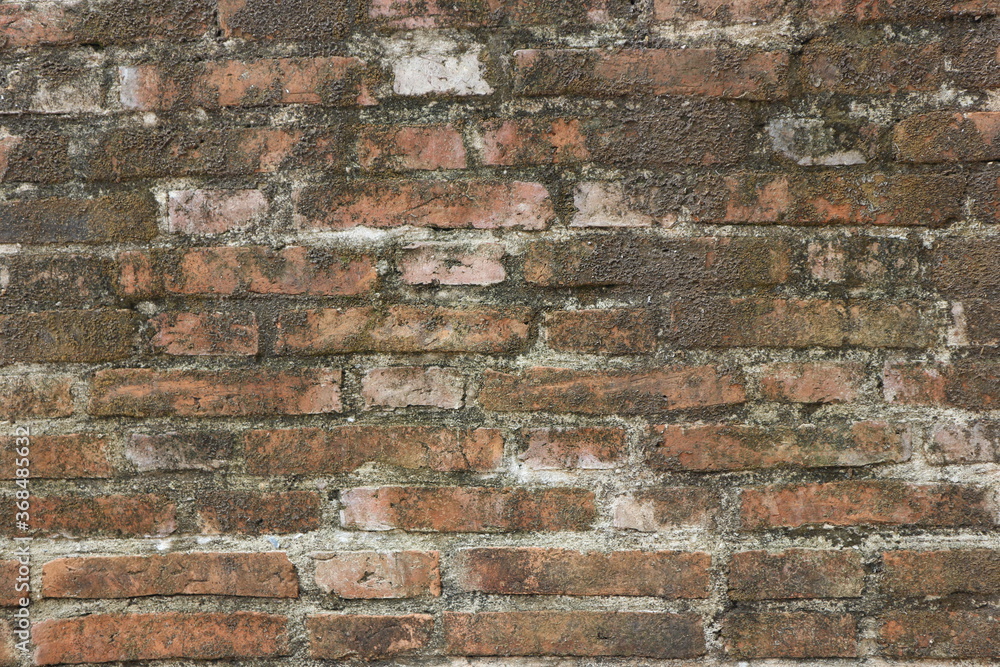 Old red brick wall on the side of the road
Old red brick wall on the side of the road