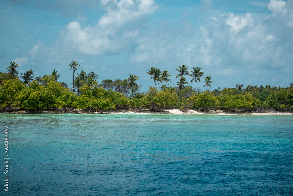 White sand tropical beach with palm trees and blue ocean White sand tropical beach with palm trees and blue ocean