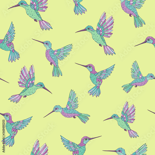 Vector seamless pattern with hummingbird. Decoration print for wrapping  wallpaper  fabric. Seamless vector texture. 