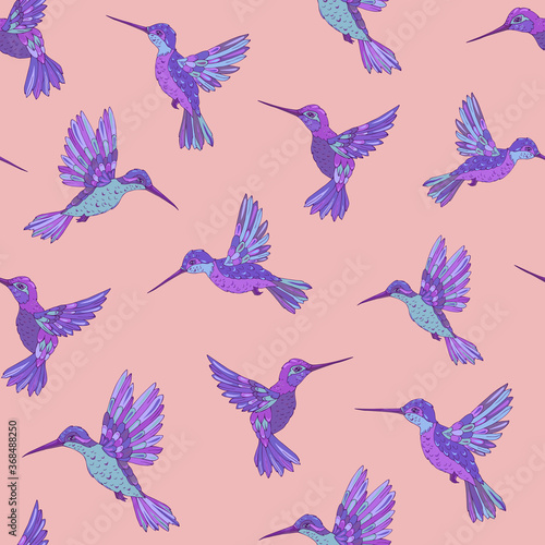 Vector seamless pattern with hummingbird. Decoration print for wrapping  wallpaper  fabric. Seamless vector texture. 