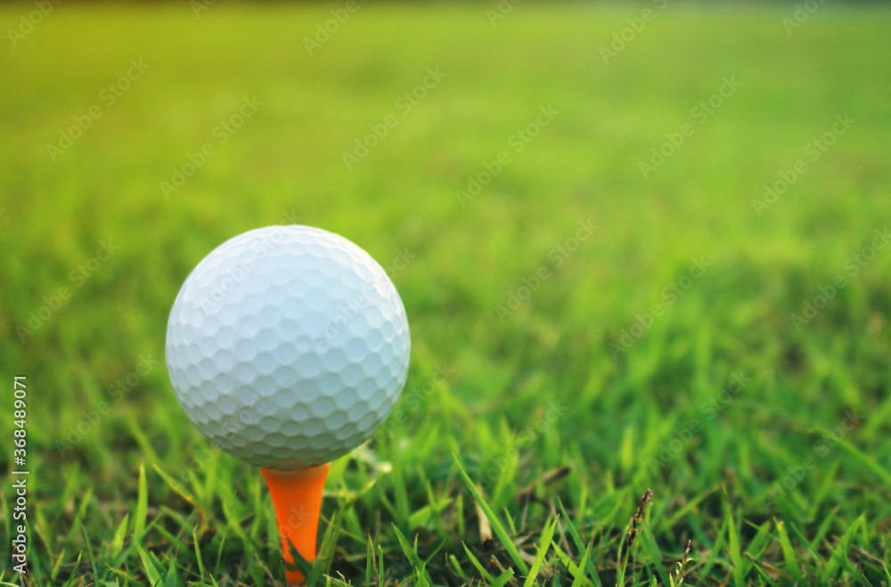golf ball on tee in a beautiful golf course with morning sunshine golf ball on tee in a beautiful golf course with morning sunshine