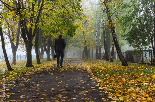 autumn fog, road