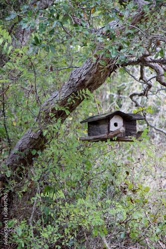 wooden bird house © Lisa