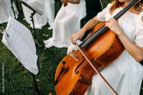 Fotobehang Close-up of a woman playing contra bass outdoors, at a wedding.