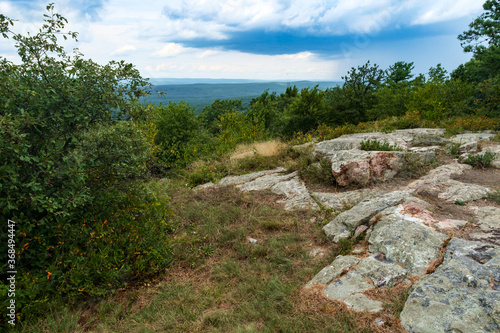 Appalachian Mountain Pine