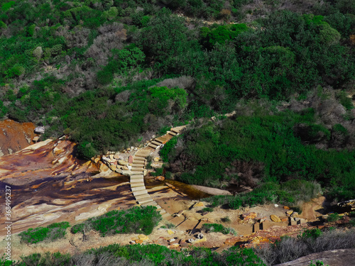 Photography National Park walkway in the Bush sydney nsw Australia