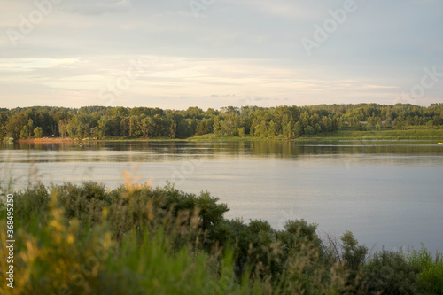 the river overlooking the green forest at sunset