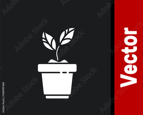 White Plant in pot icon isolated on black background. Plant growing in a pot. Potted plant sign. Vector Illustration.