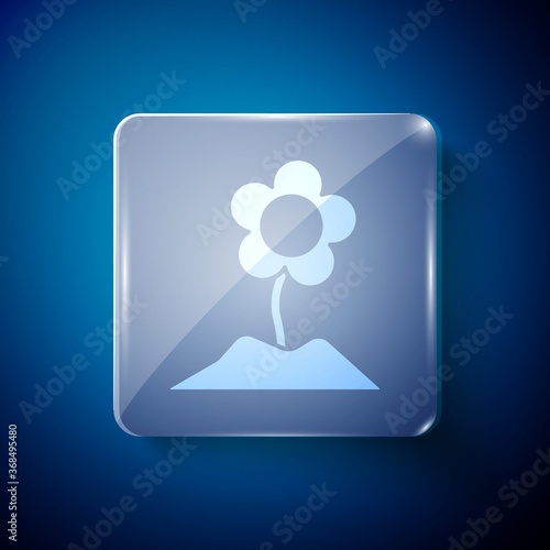 White Flower icon isolated on blue background. Square glass panels. Vector Illustration.