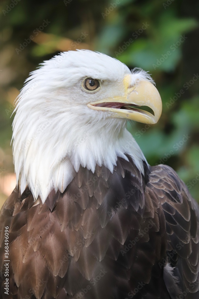 Obraz premium @betemitphotos