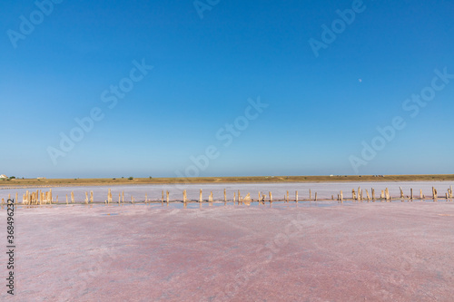 Pink salt beach