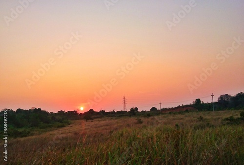 sunset over the field