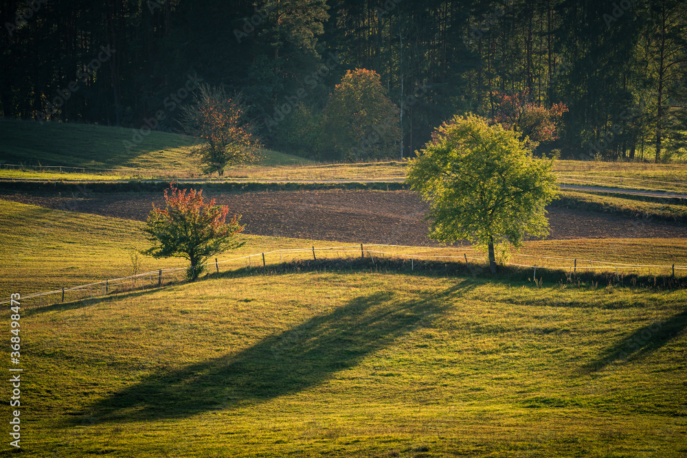View of the fields, meadows and forests (typical Podlasie landscape) during the setting sun near Wigry, Poland