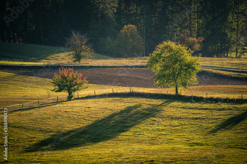 Obraz na płótnie View of the fields, meadows and forests (typical Podlasie landscape) during the setting sun near Wigry, Poland w salonie