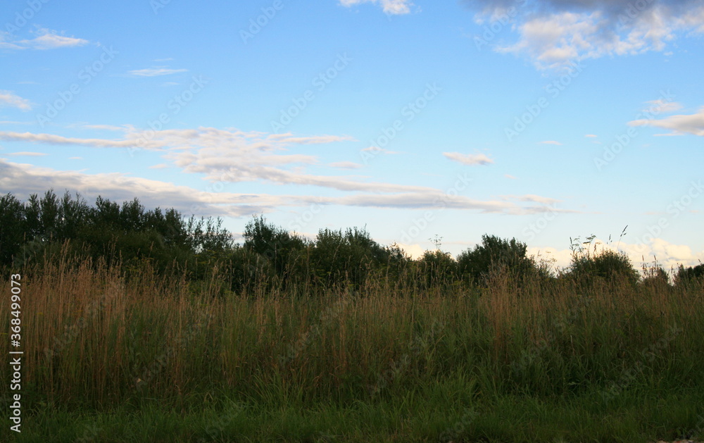 summer landscape with field and blue sky with clouds summer landscape with field and blue sky with clouds