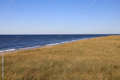 Landscape at the beach of Sylt  Germany  Europe