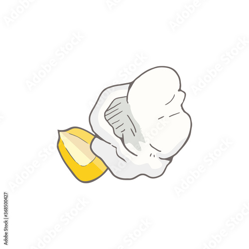 Design of corn grain and popcorn