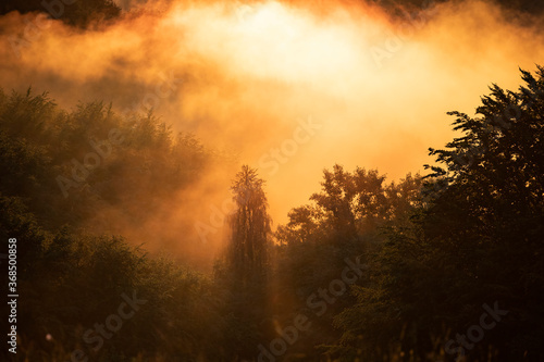 Magic foggy sunset in transylvaninan mountains. © erika8213