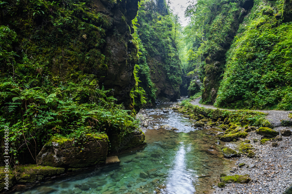 pathway crosses the beautiful gorge of vintgar, slovenia pathway crosses the beautiful gorge of vintgar, slovenia