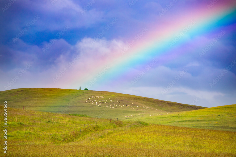 Countryside after storm