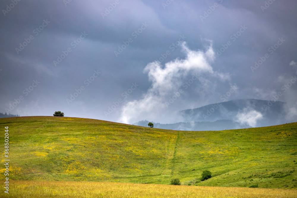Fototapeta premium Storm clouds above meadow with green grass