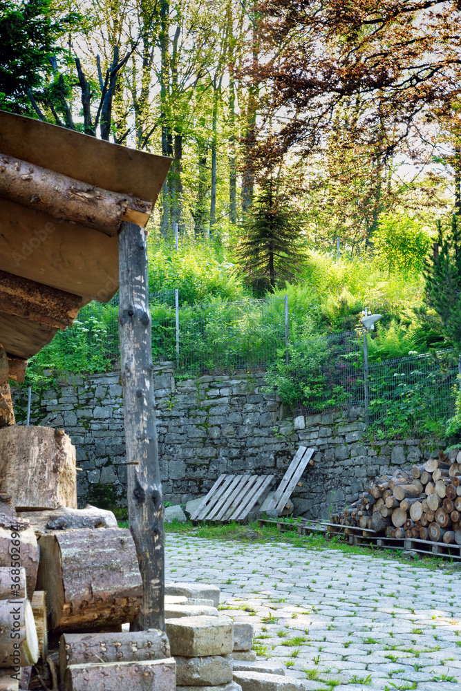 Obraz premium Bielsko Biala, South Poland: Sunrise sunset rays penetrating through tall trees and woods cut below shed on a hilltop
