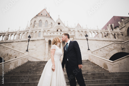 Kissing wedding couple staying over beautiful landscape