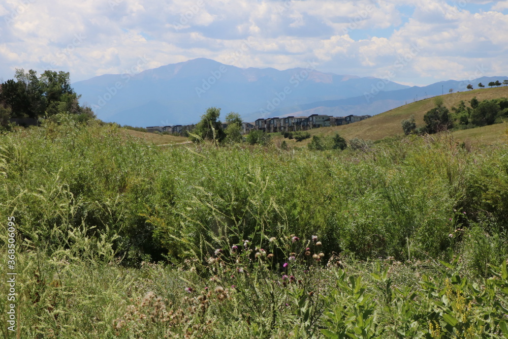 Colorado Rocky Mountains