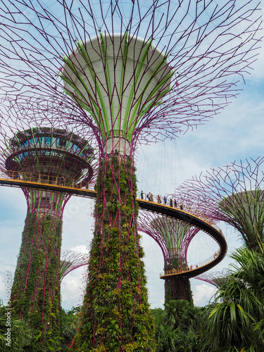 Garden by the bay in Singapour 