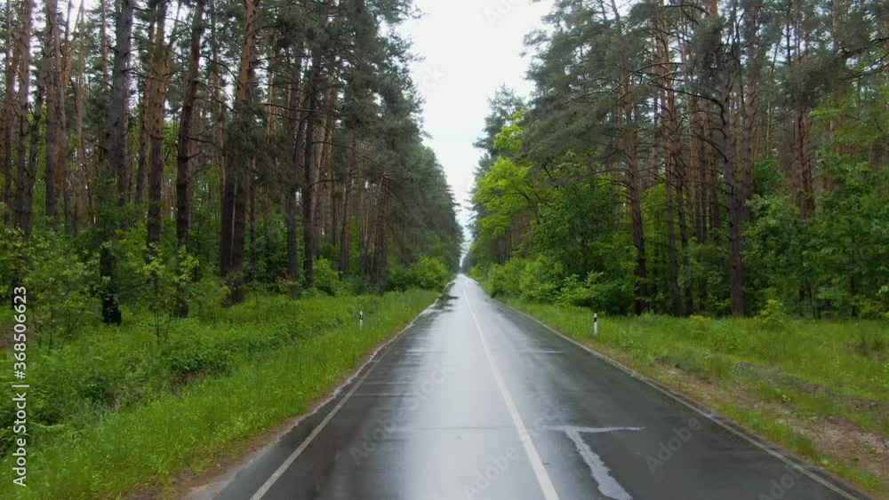 Driver's point of view, wet asphalt road with green trees growing alongside. Calm summer landscape on rainy cloudy day outdoors. Beauty in nature. Driver's point of view, wet asphalt road with green trees growing alongside. Calm summer landscape on rainy cloudy day outdoors. Beauty in nature.