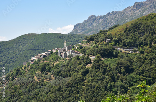 Village de Lento dans le Nebbio  Corse