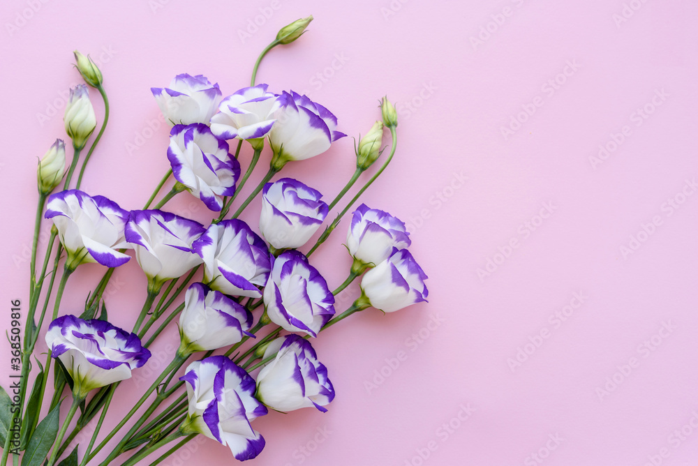 A bouquet of beautiful freshly cut purple eustoma on a one ton background