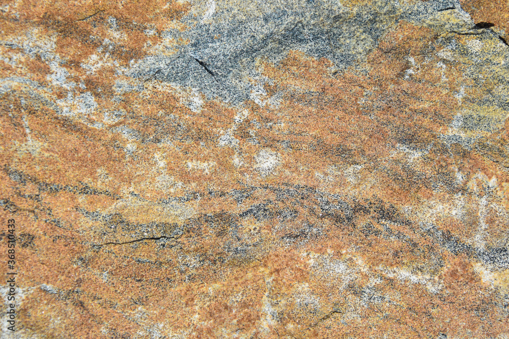 Natural stone with a beautiful texture in Canadian forest in Quebec, Lanaudière region Natural stone with a beautiful texture in Canadian forest in Quebec, Lanaudière region