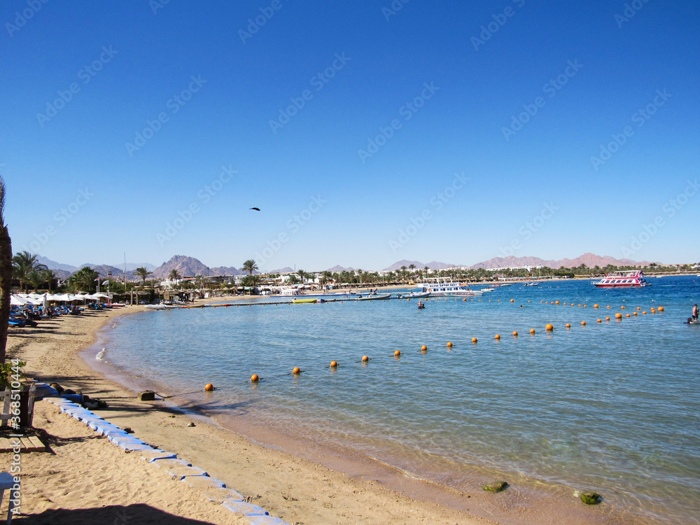 sea, beach, mountains in Egypt, palm trees on the horizon, background of the sea with mountains in Africa, beach on the Sinai Peninsula, red sea