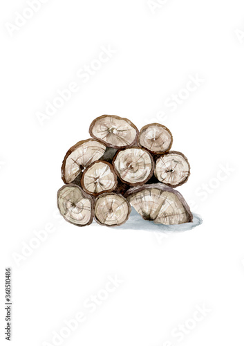 Wood logs for forestry and lumber industry. Illustration of trunks  stump and planks. Hand drawn watercolor isolated on white background