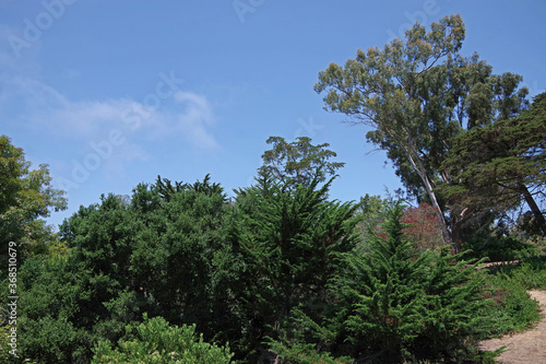 California coastal natural landscape with a blue sky and some light clouds on a summer day