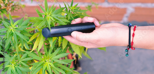 Cannabis plant and hand with a vaporizer.