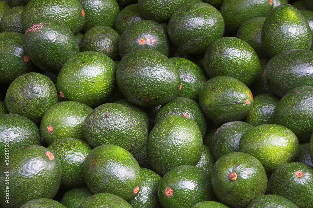 avocado in the market avocado in the market
