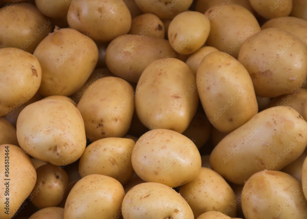 Big bunch of natural potatoes at market Big bunch of natural potatoes at market